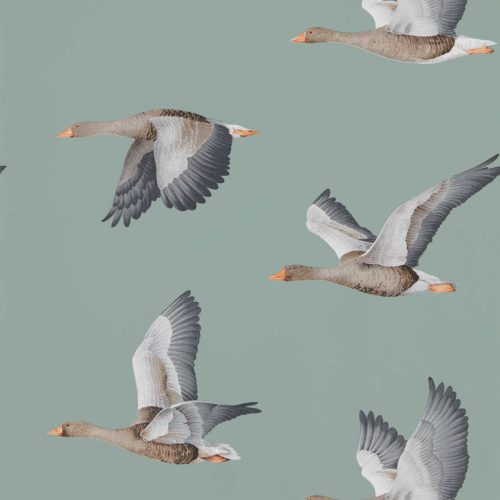 Elysian Geese 216610